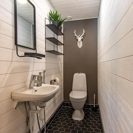 Βίλα Loihtu Syöte